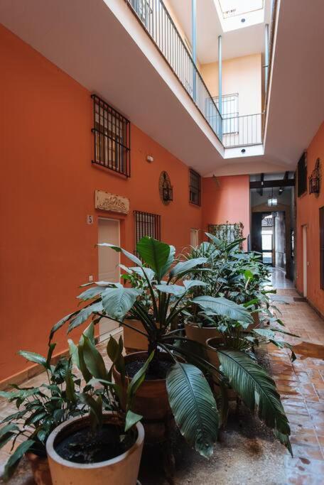 Selecta Elegante Y Centrico Apartamento Sevilla Exteriör bild